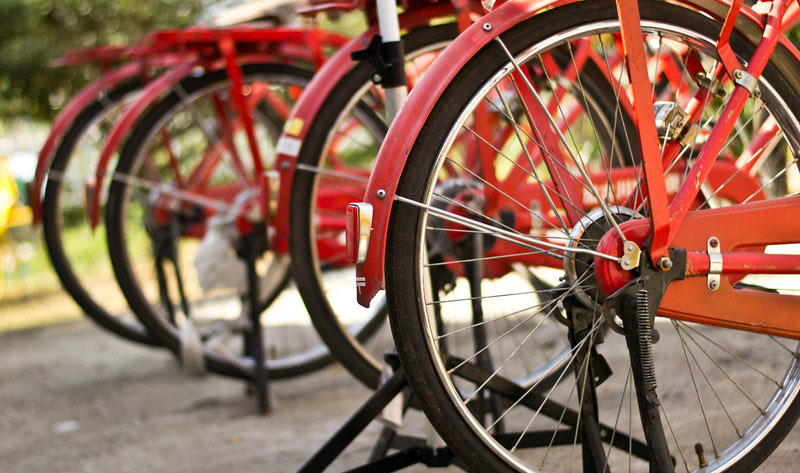 Bike Tours in Holland