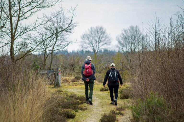 Hiking in the Netherlands 1