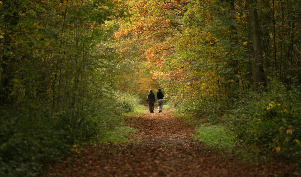 Hiking in the Netherlands