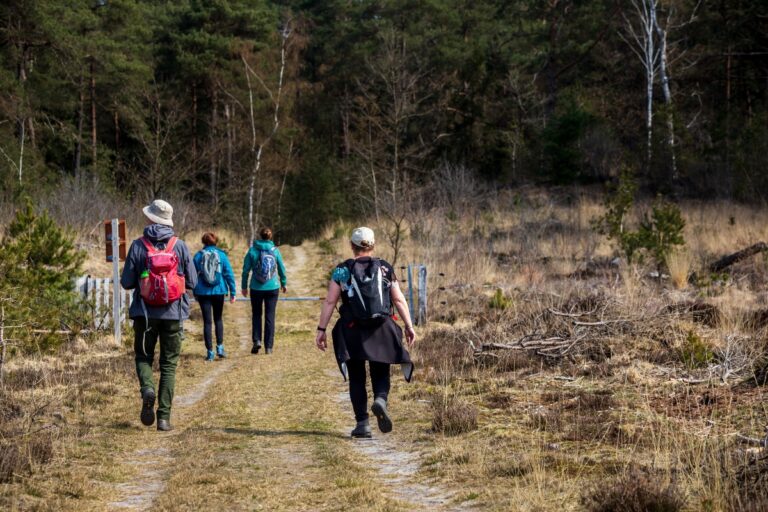 Hiking in the Netherlands 2