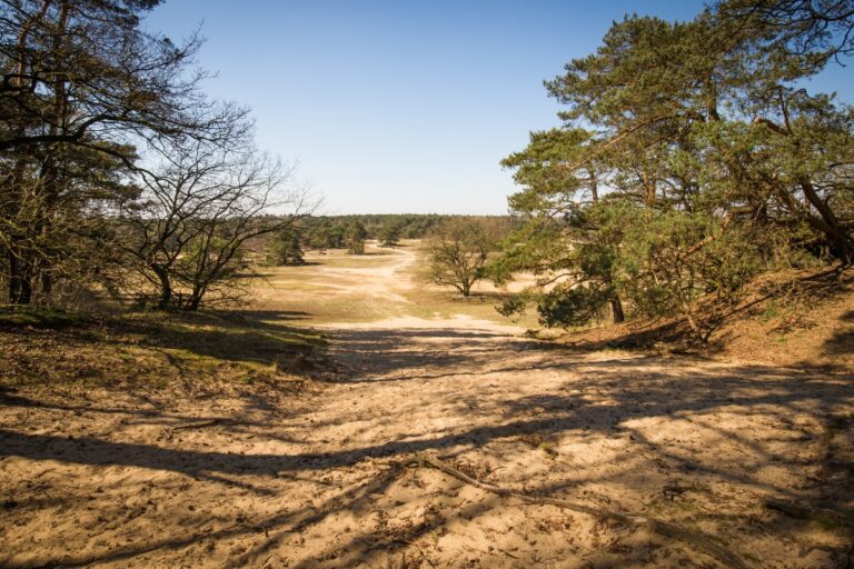 Hoge Veluwe National Park 1