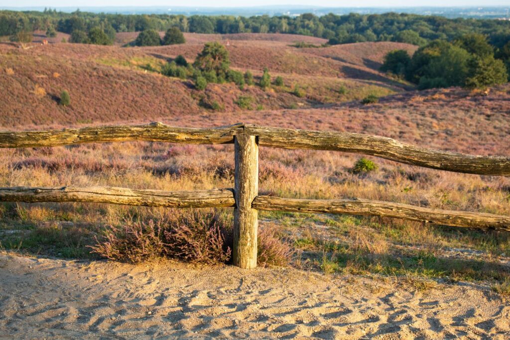 Hoge Veluwe National Park