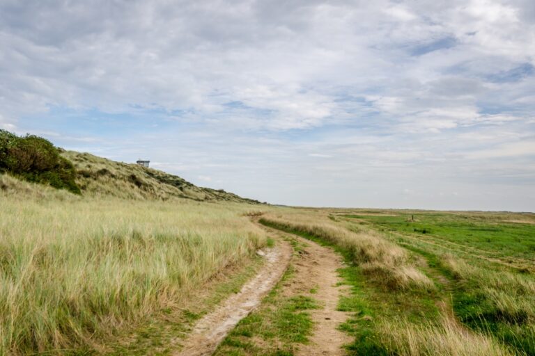 Terschelling Island 3