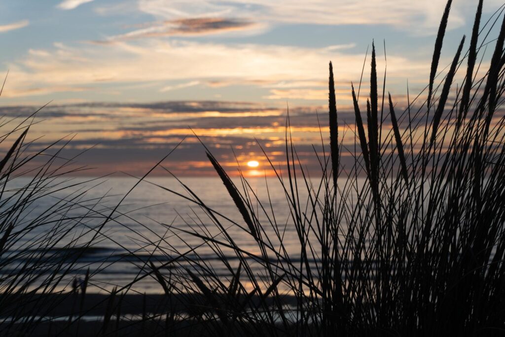 Things to do in Noordwijk Beach