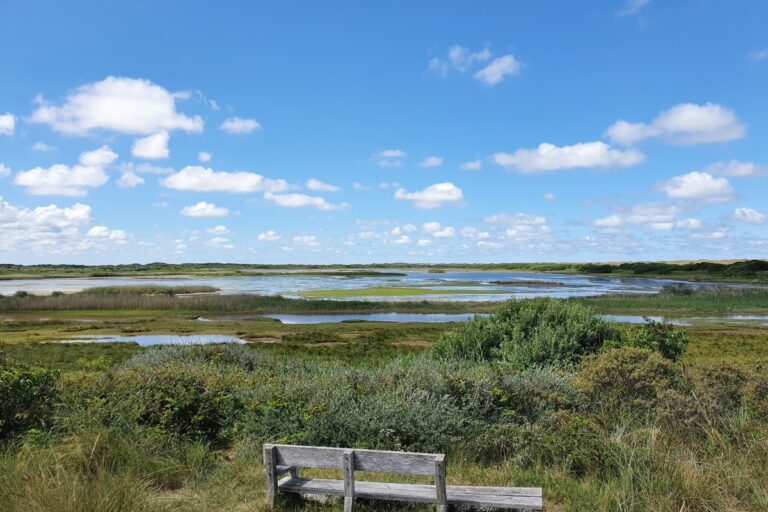 Vlieland Island 1