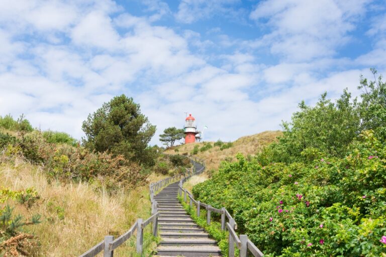 Vlieland Island 3