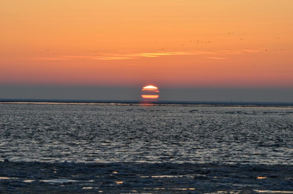 Vlieland Island