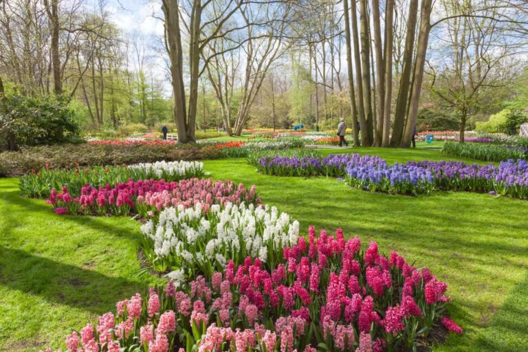 Keukenhof