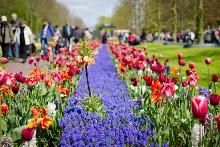 Keukenhof