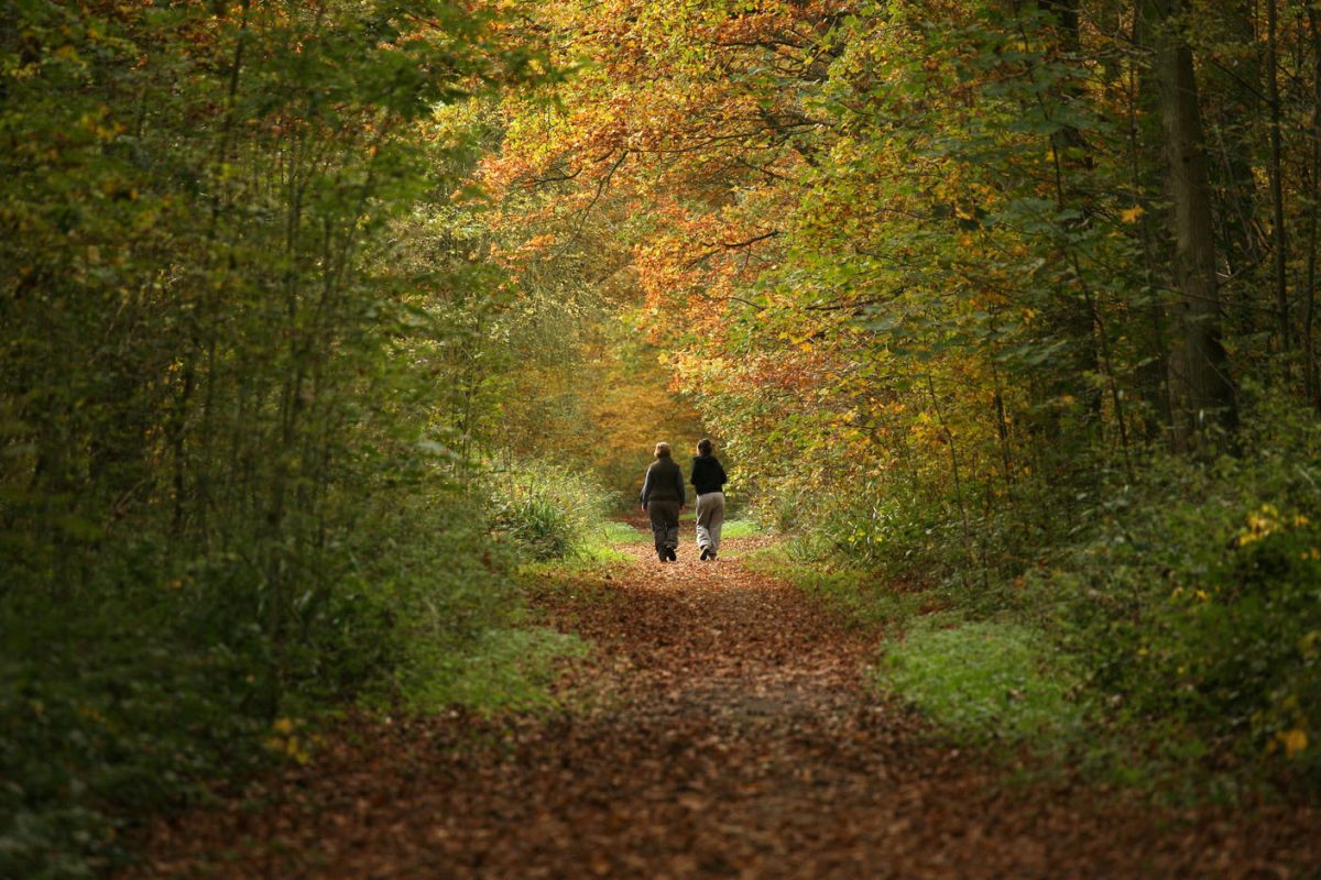 Hiking in the Netherlands