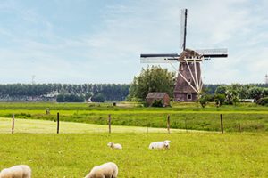 Must sees in the Netherlands 11